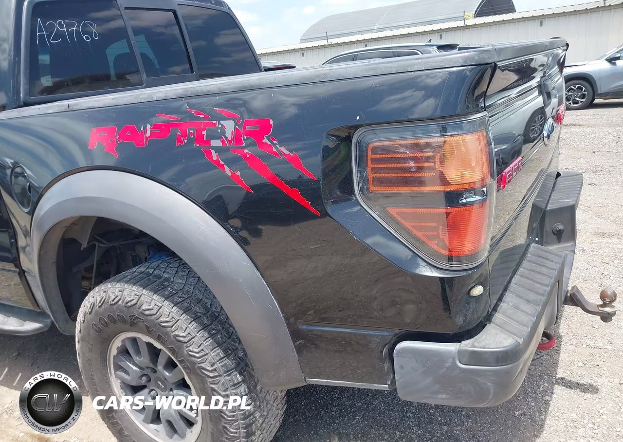 2010 Ford F-150 Svt Raptor VIN:1FTEX1EV4AFA29768 - 20