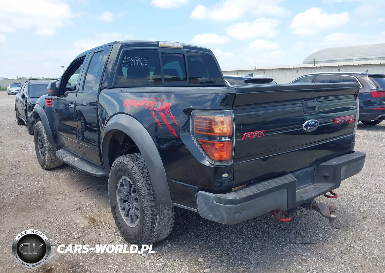 2010 Ford F-150 Svt Raptor VIN:1FTEX1EV4AFA29768 - 3