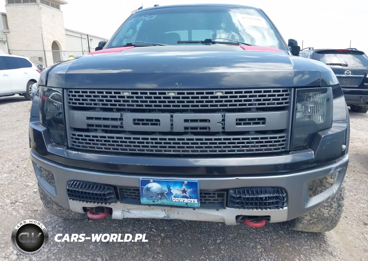 2010 Ford F-150 Svt Raptor VIN:1FTEX1EV4AFA29768 - 6