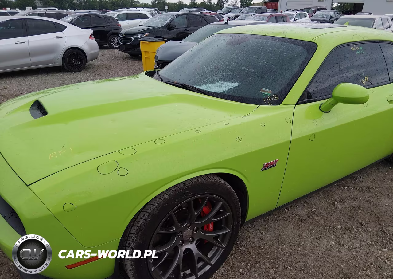 2015 Dodge Challenger Srt 392 VIN:2C3CDZDJ8FH815743 - 17