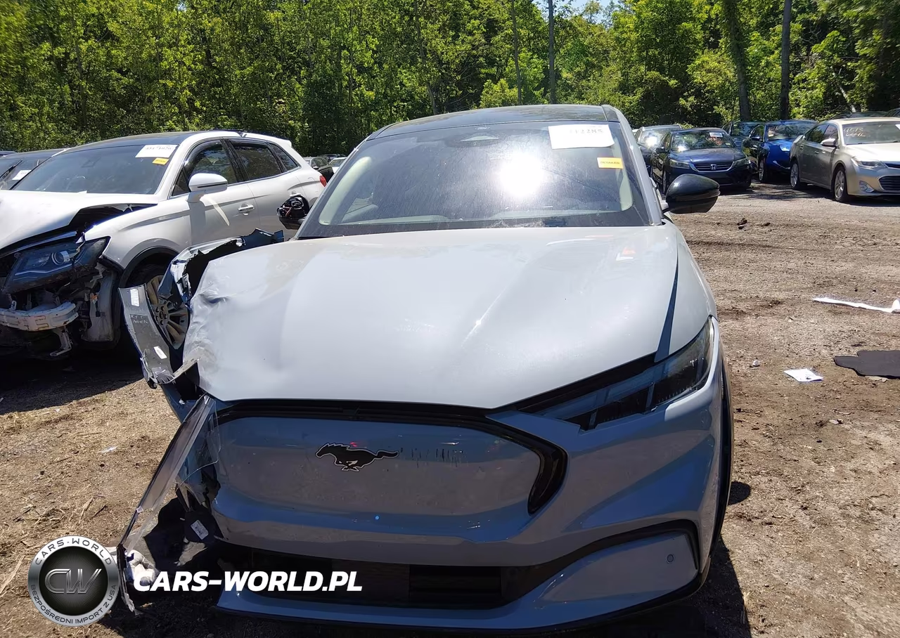2024 Ford Mustang Mach-E Premium VIN:3FMTK3SU2RMA53331 - 12