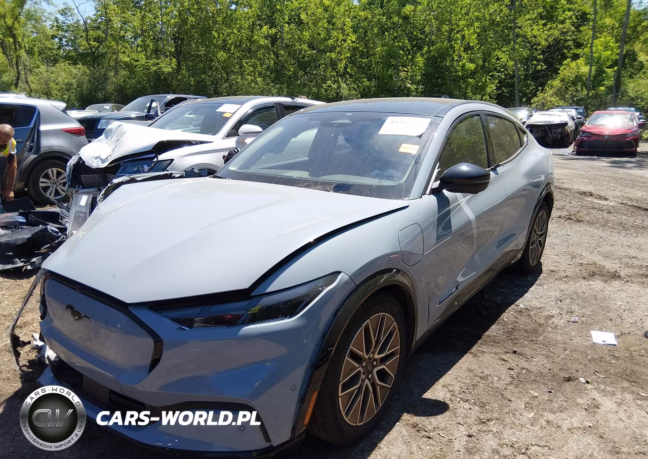 2024 Ford Mustang Mach-E Premium VIN:3FMTK3SU2RMA53331 - 2
