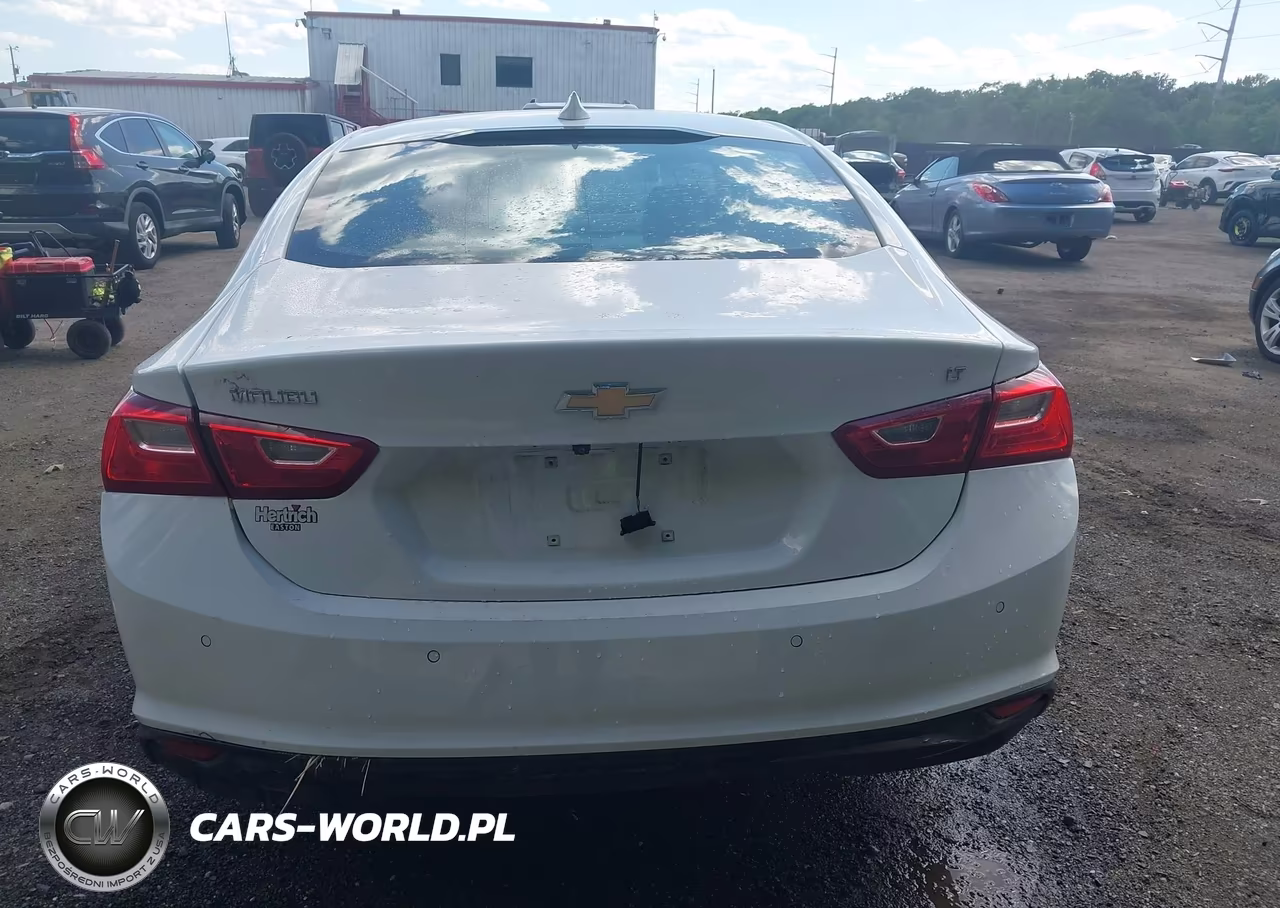 2024 Chevrolet Malibu Fwd 1Lt VIN:1G1ZD5ST3RF126579 - 16