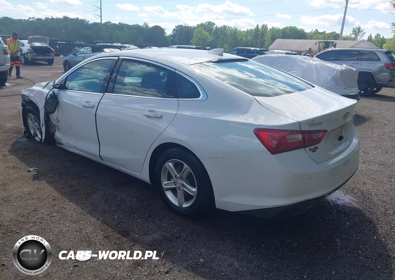 2024 Chevrolet Malibu Fwd 1Lt VIN:1G1ZD5ST3RF126579 - 3
