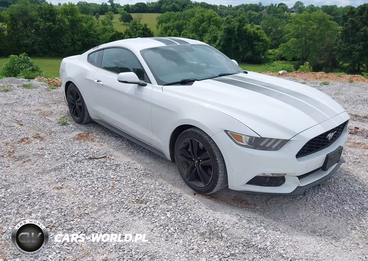 2016 Ford Mustang Ecoboost – zdjęcie 1 z 17