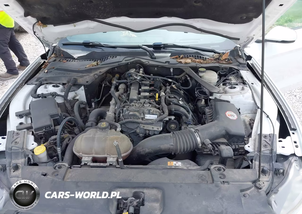 2016 Ford Mustang Ecoboost VIN:1FA6P8TH8G5252684 - 10