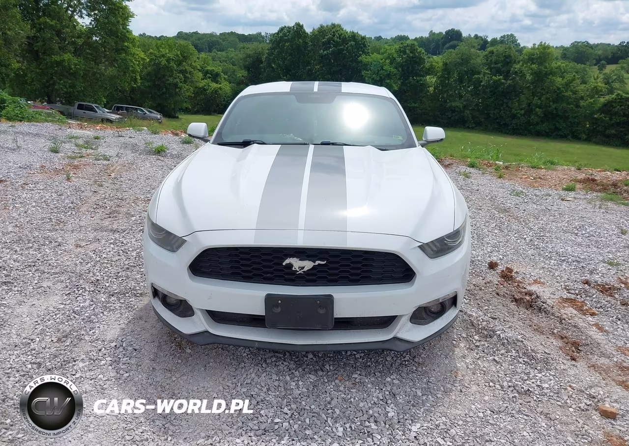 2016 Ford Mustang Ecoboost VIN:1FA6P8TH8G5252684 - 13