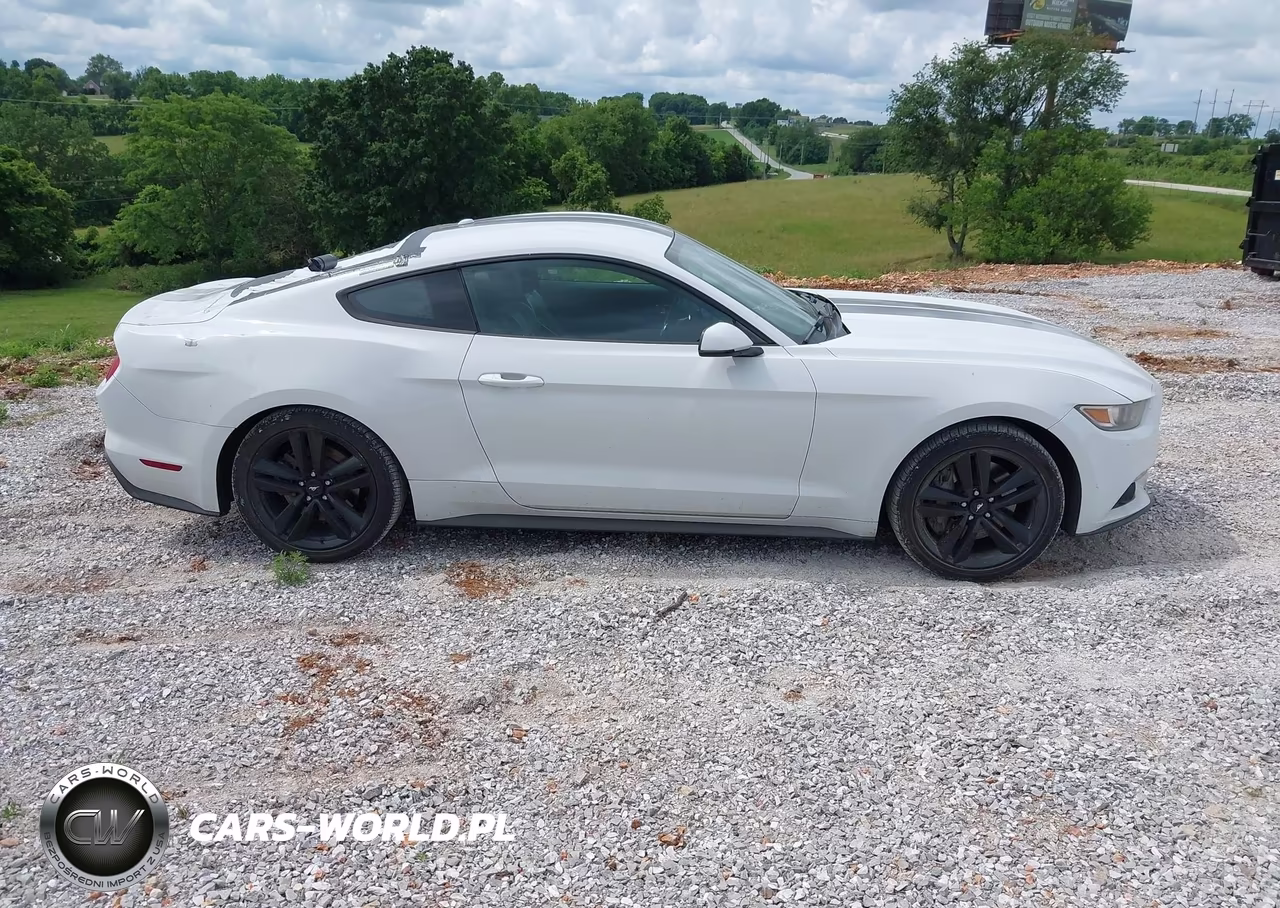 2016 Ford Mustang Ecoboost VIN:1FA6P8TH8G5252684 - 14