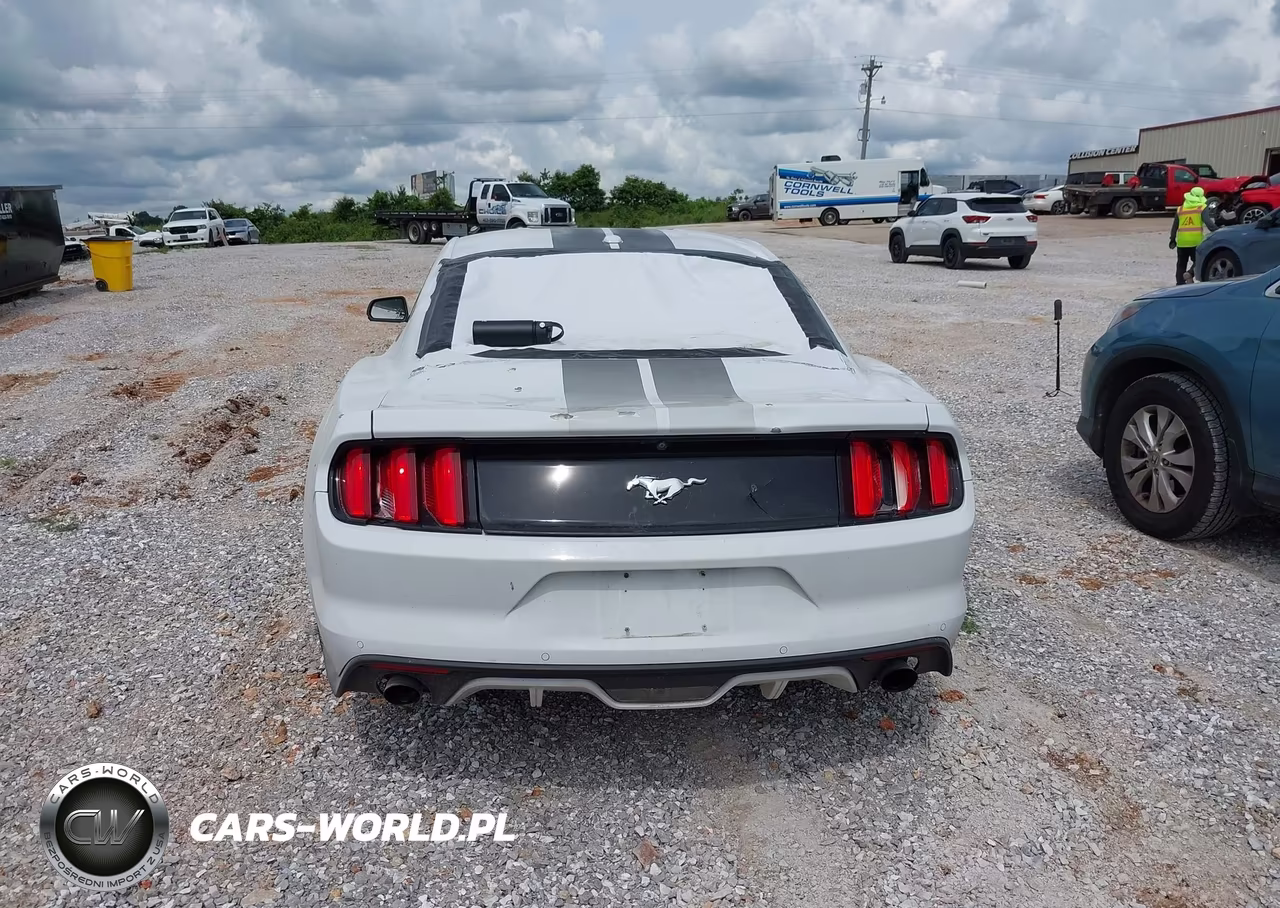 2016 Ford Mustang Ecoboost VIN:1FA6P8TH8G5252684 - 17