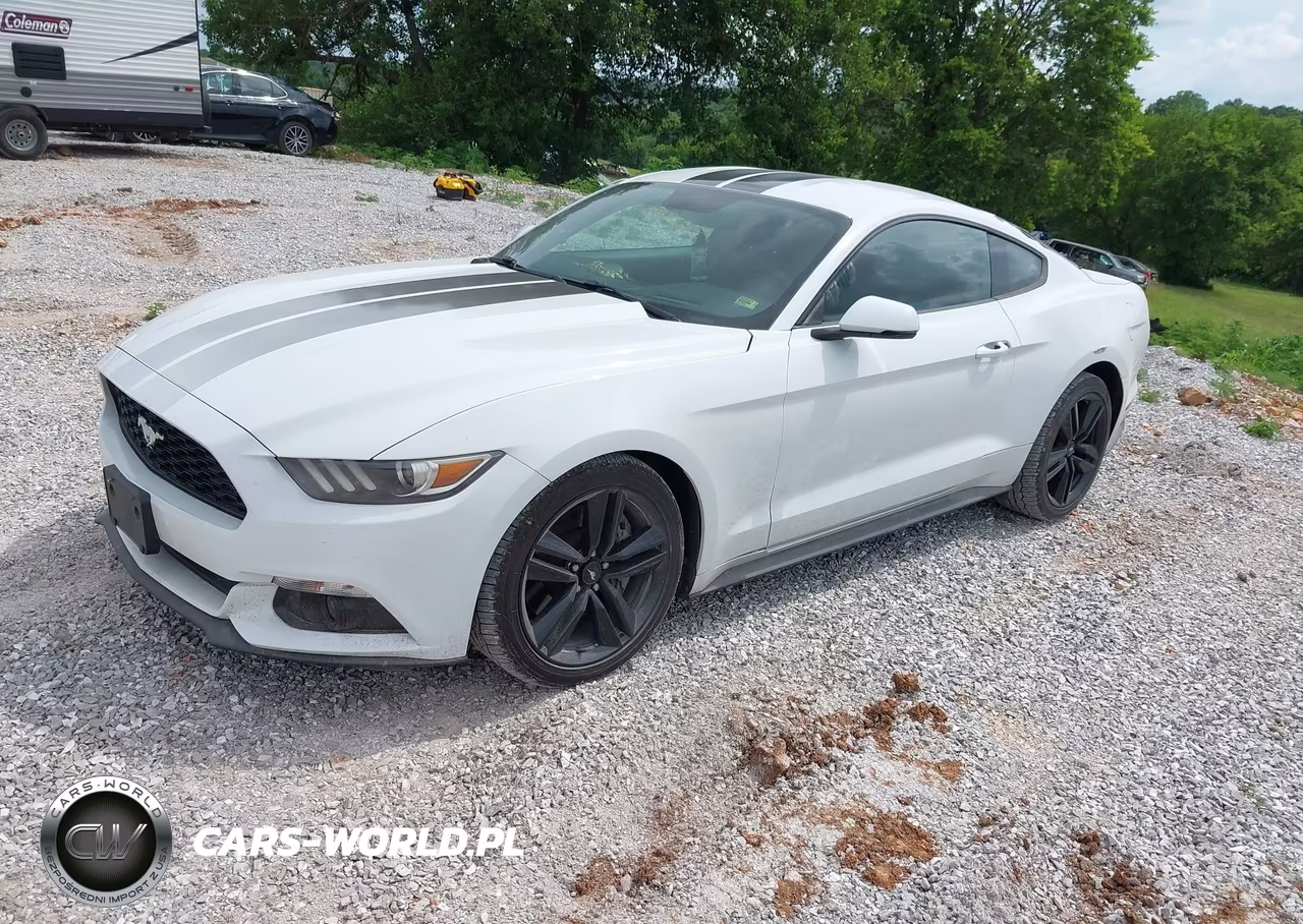 2016 Ford Mustang Ecoboost VIN:1FA6P8TH8G5252684 - 2