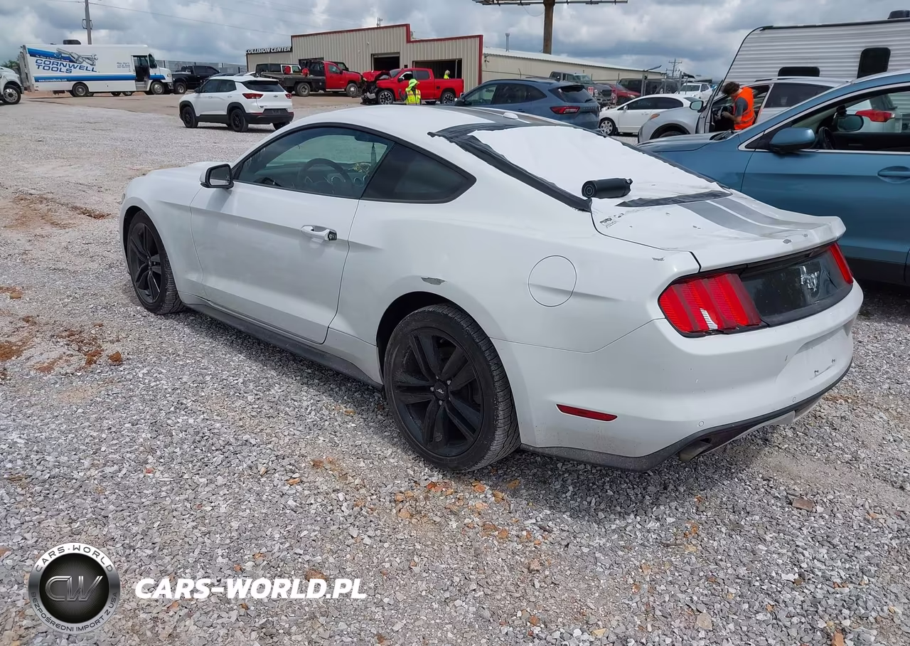 2016 Ford Mustang Ecoboost VIN:1FA6P8TH8G5252684 - 3