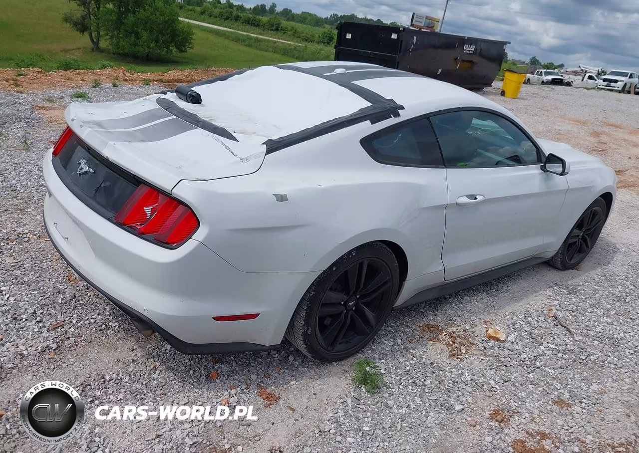 2016 Ford Mustang Ecoboost VIN:1FA6P8TH8G5252684 - 4