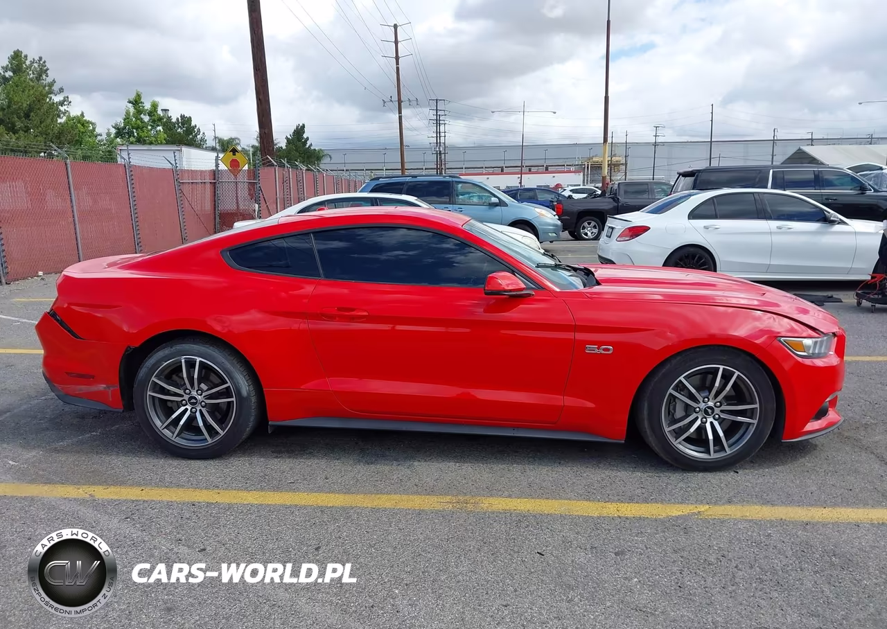 2015 Ford Mustang Gt Premium VIN:1FA6P8CF0F5314494 - 12