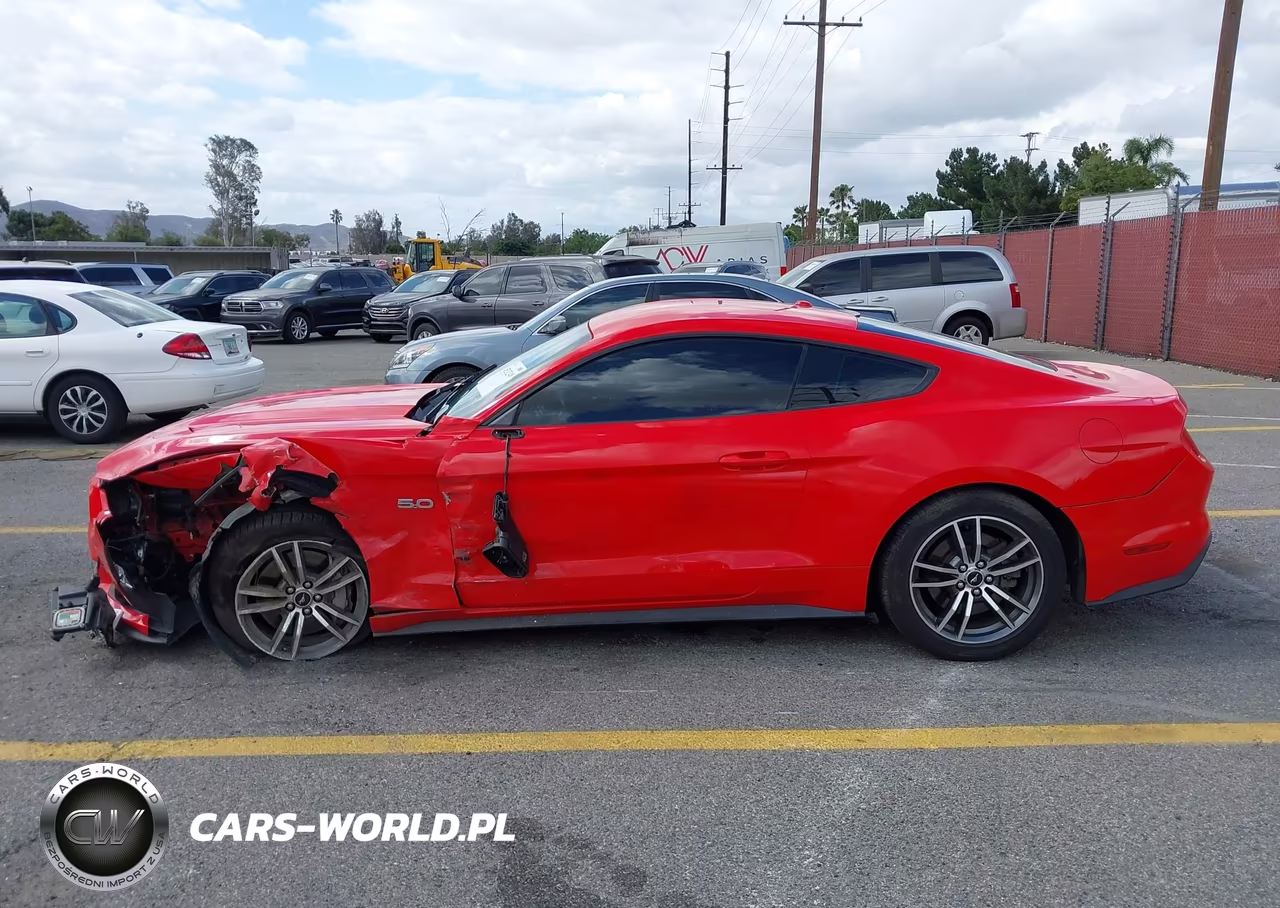 2015 Ford Mustang Gt Premium VIN:1FA6P8CF0F5314494 - 13