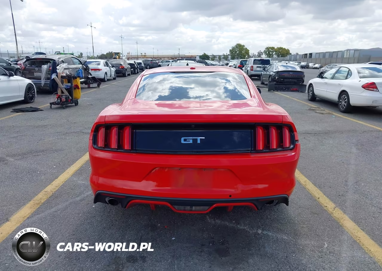 2015 Ford Mustang Gt Premium VIN:1FA6P8CF0F5314494 - 15