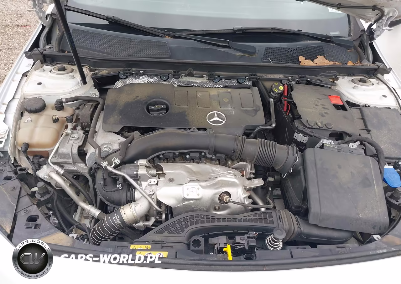 2020 Mercedes-Benz A 220 VIN:WDD3G4EB6LW042321 - 10