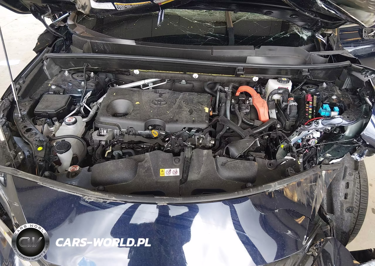 2024 Toyota Venza Xle VIN:JTEAAAAH7RJ179393 - 10