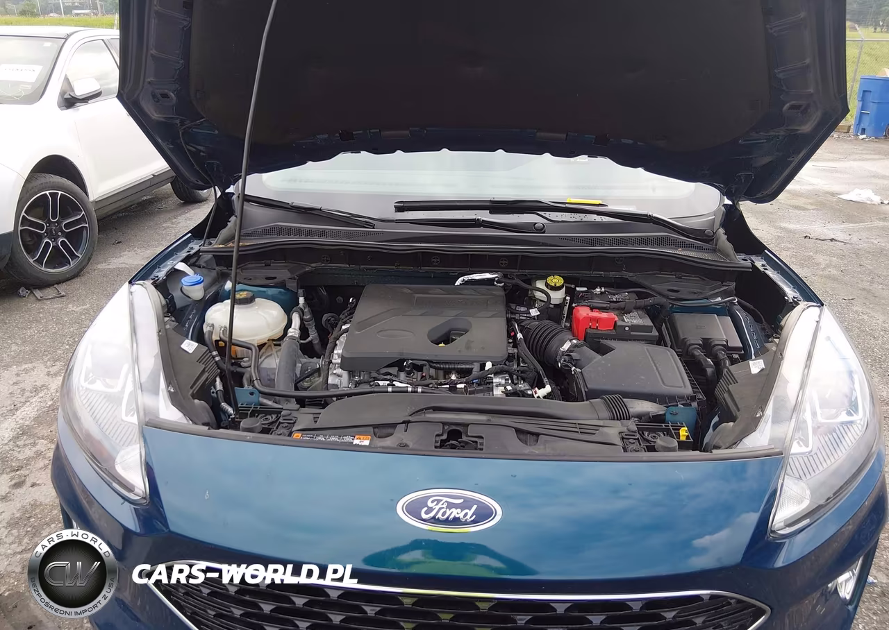 2020 Ford Escape Sel VIN:1FMCU0H61LUB04564 - 10