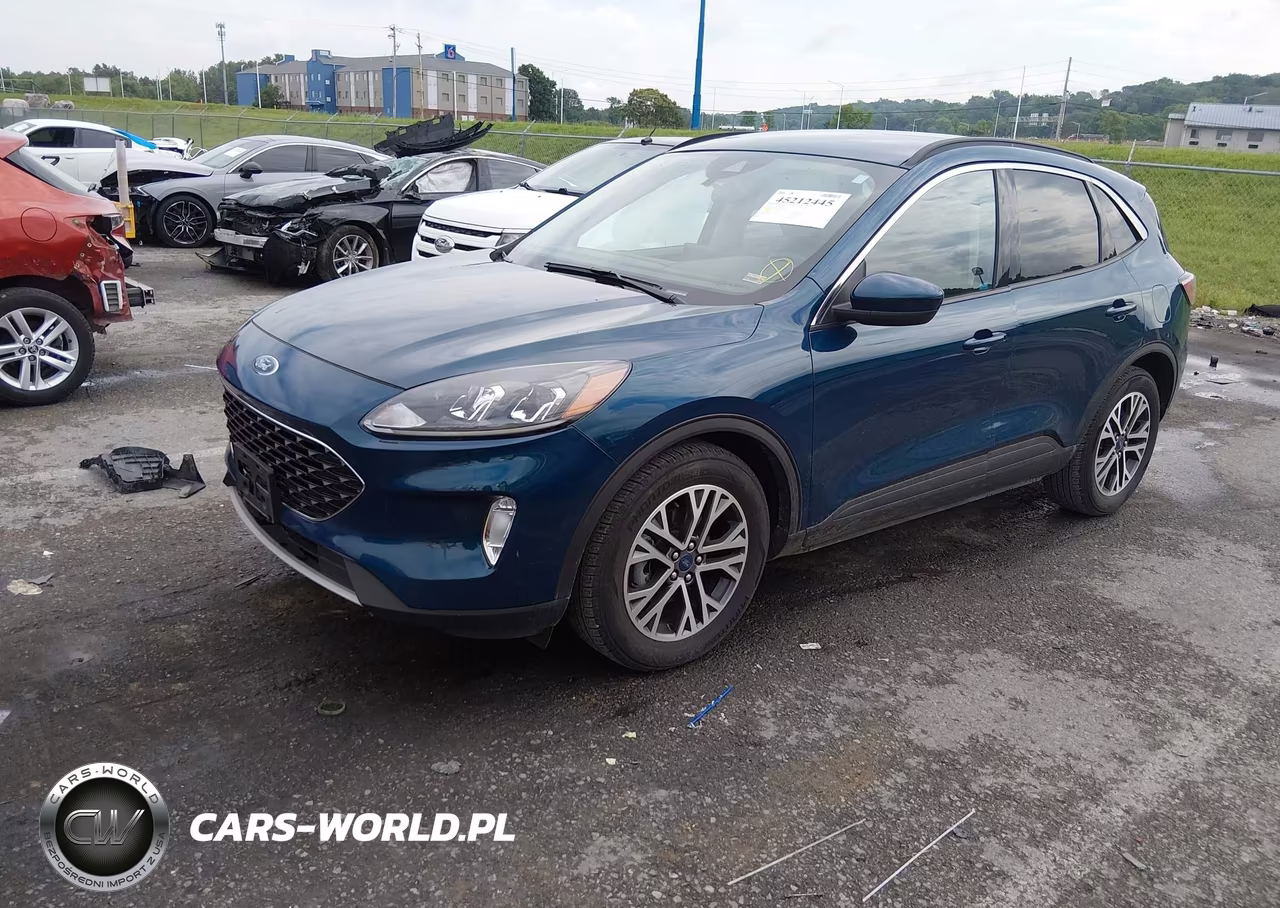 2020 Ford Escape Sel VIN:1FMCU0H61LUB04564 - 2