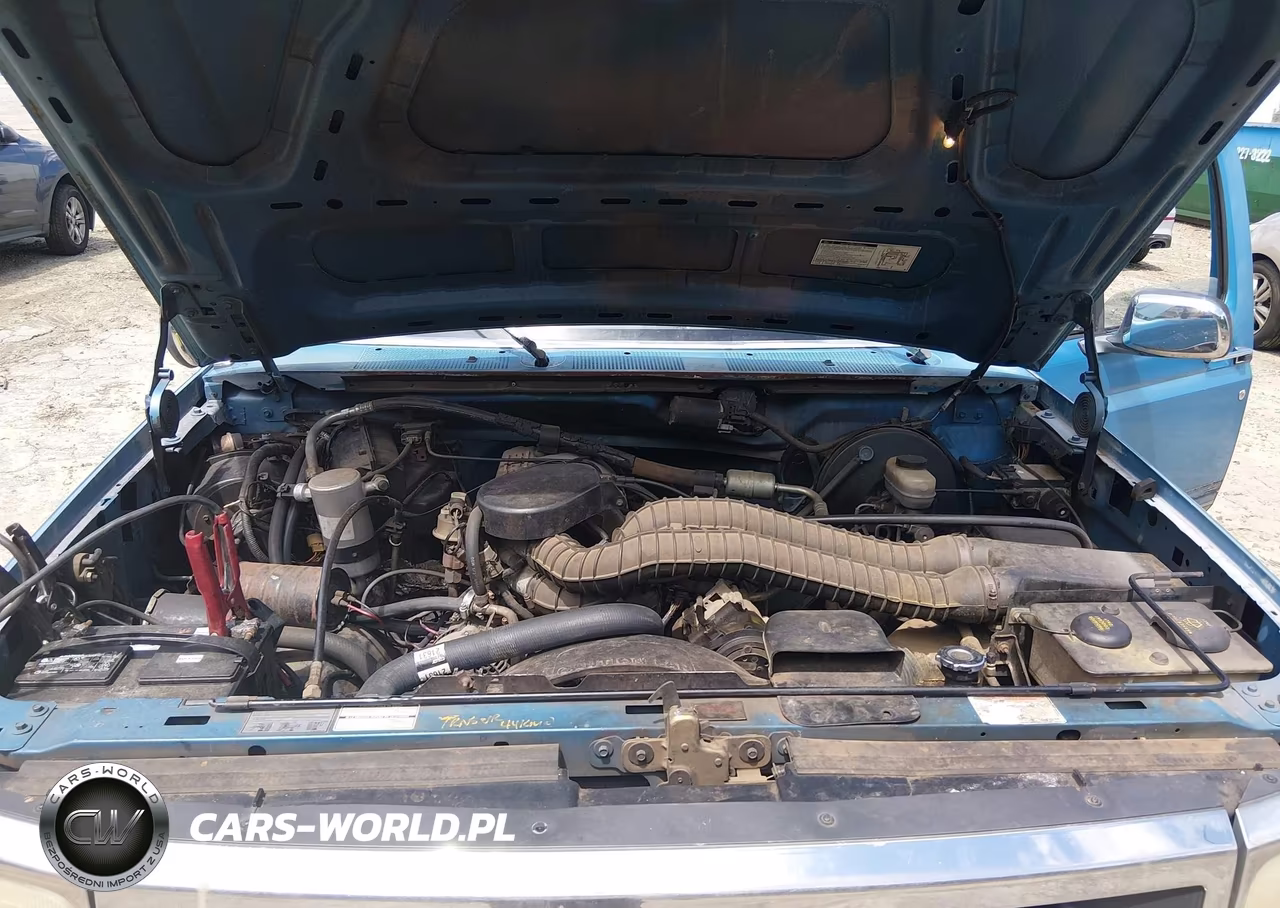 1993 Ford F150 VIN:1FTEX15NXPKA46977 - 10