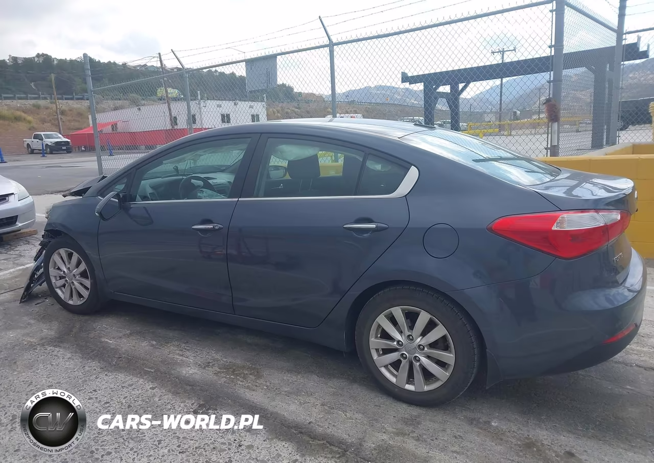 2015 Kia Forte Ex VIN:KNAFX4A82F5282233 - 15