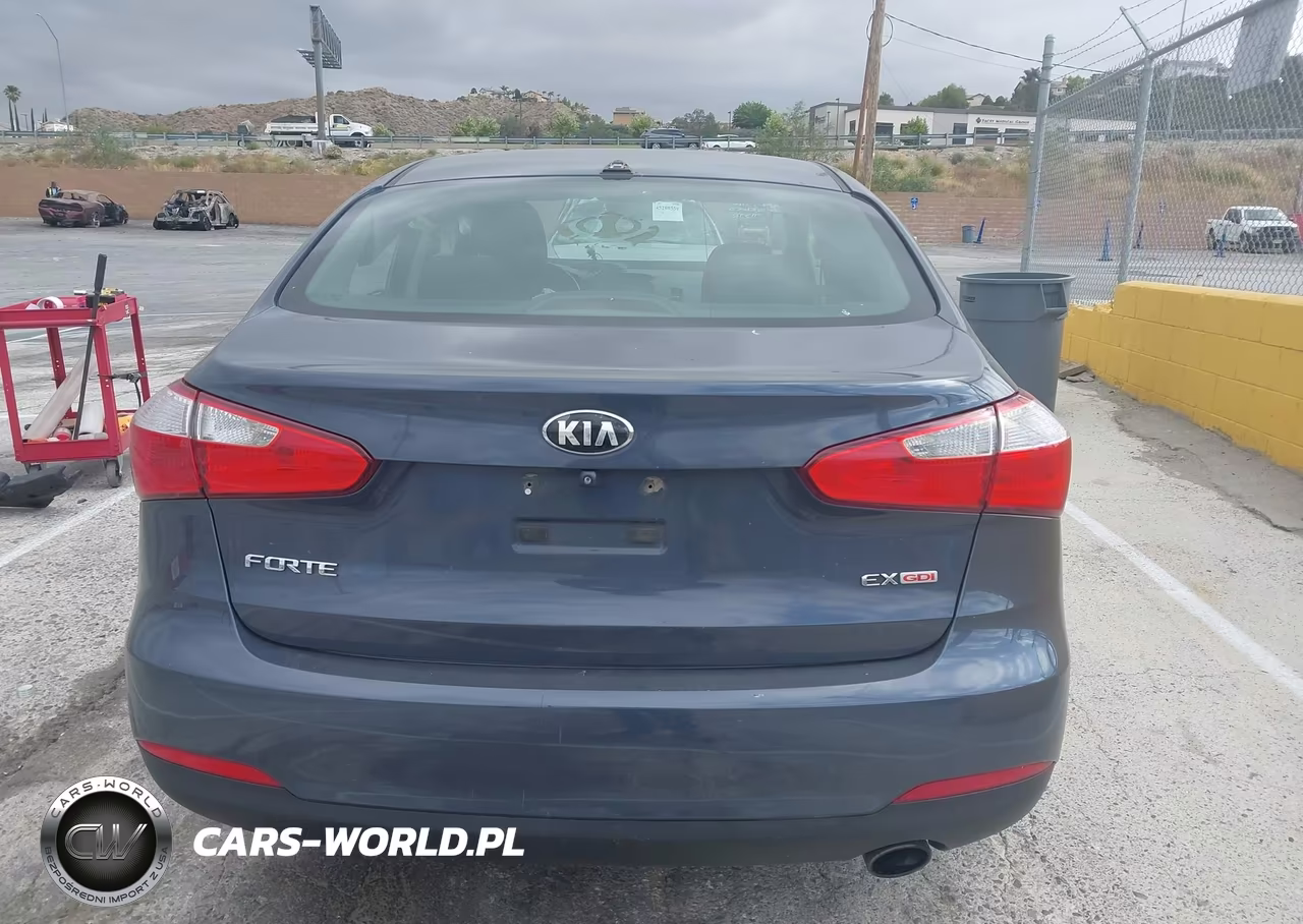 2015 Kia Forte Ex VIN:KNAFX4A82F5282233 - 17