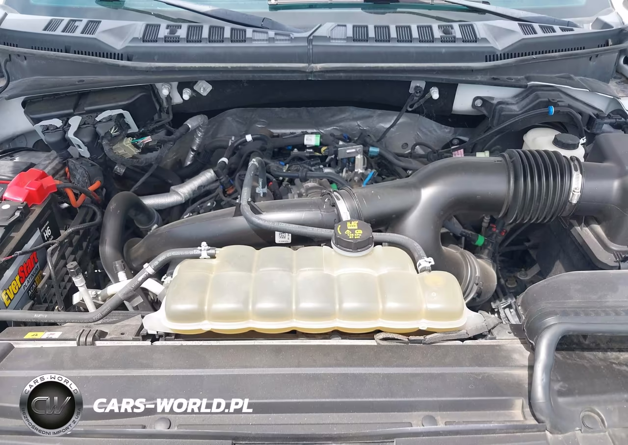 2019 Ford F-150 Xl VIN:1FTEW1EP4KKE05155 - 10