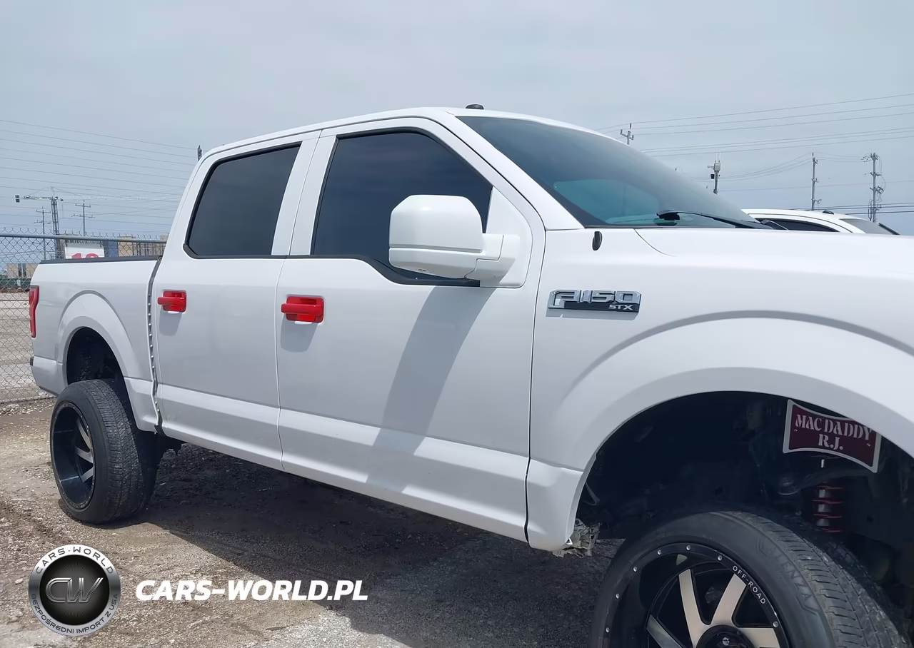 2019 Ford F-150 Xl VIN:1FTEW1EP4KKE05155 - 13