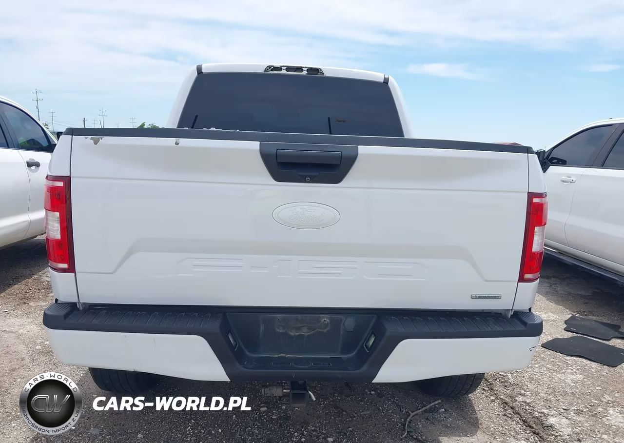 2019 Ford F-150 Xl VIN:1FTEW1EP4KKE05155 - 16