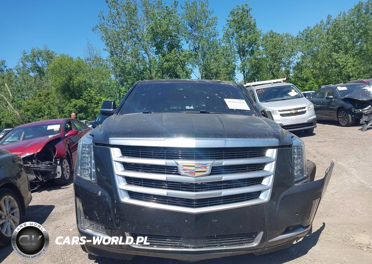 2015 Cadillac Escalade Esv Premium VIN:1GYS4TKJ0FR690089 - 13