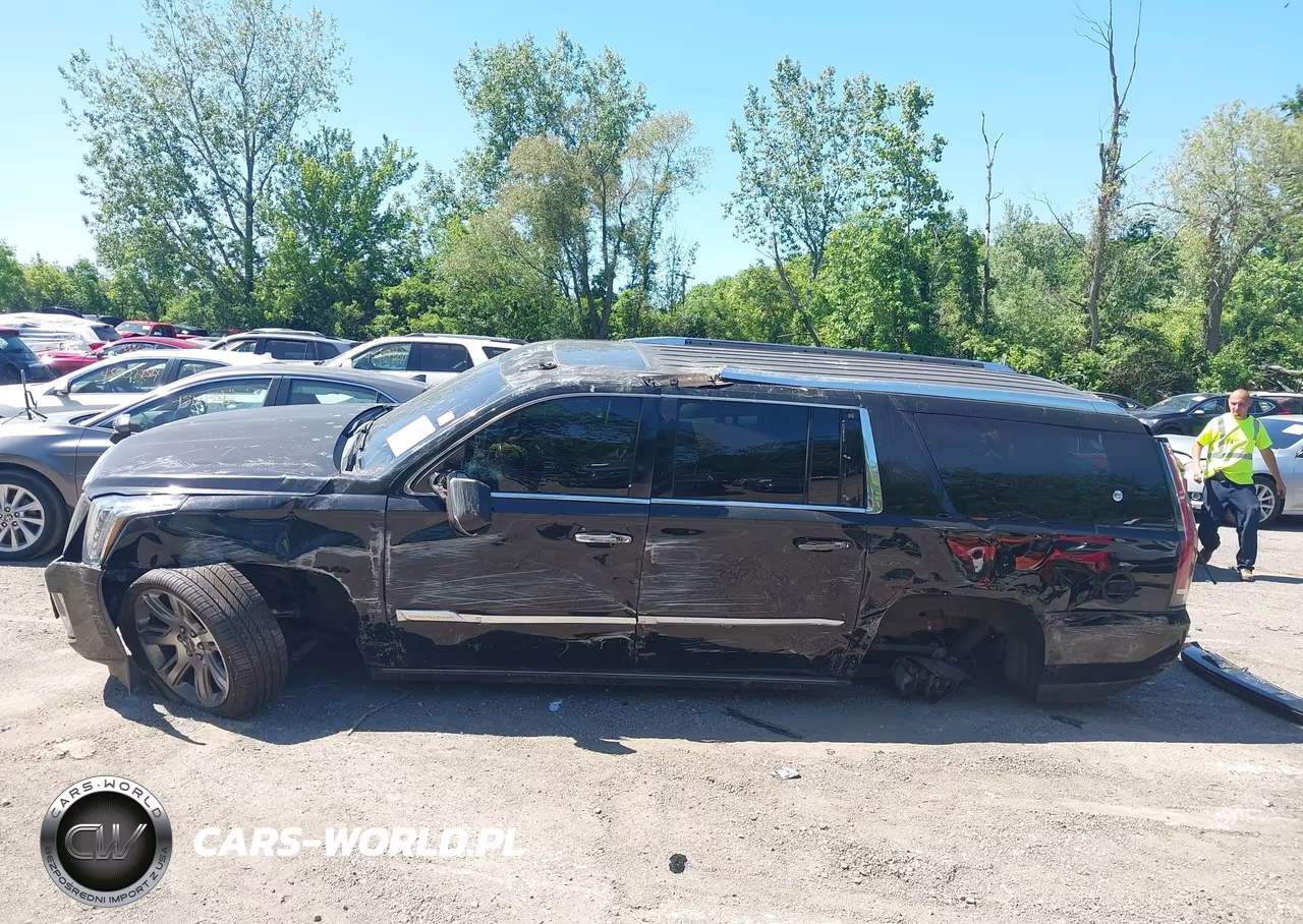2015 Cadillac Escalade Esv Premium VIN:1GYS4TKJ0FR690089 - 15