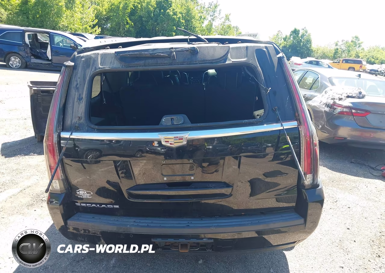 2015 Cadillac Escalade Esv Premium VIN:1GYS4TKJ0FR690089 - 17