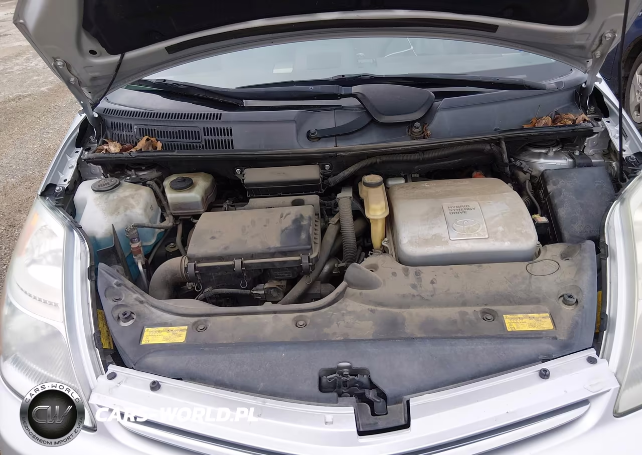 2006 Toyota Prius VIN:JTDKB20U867516172 - 10