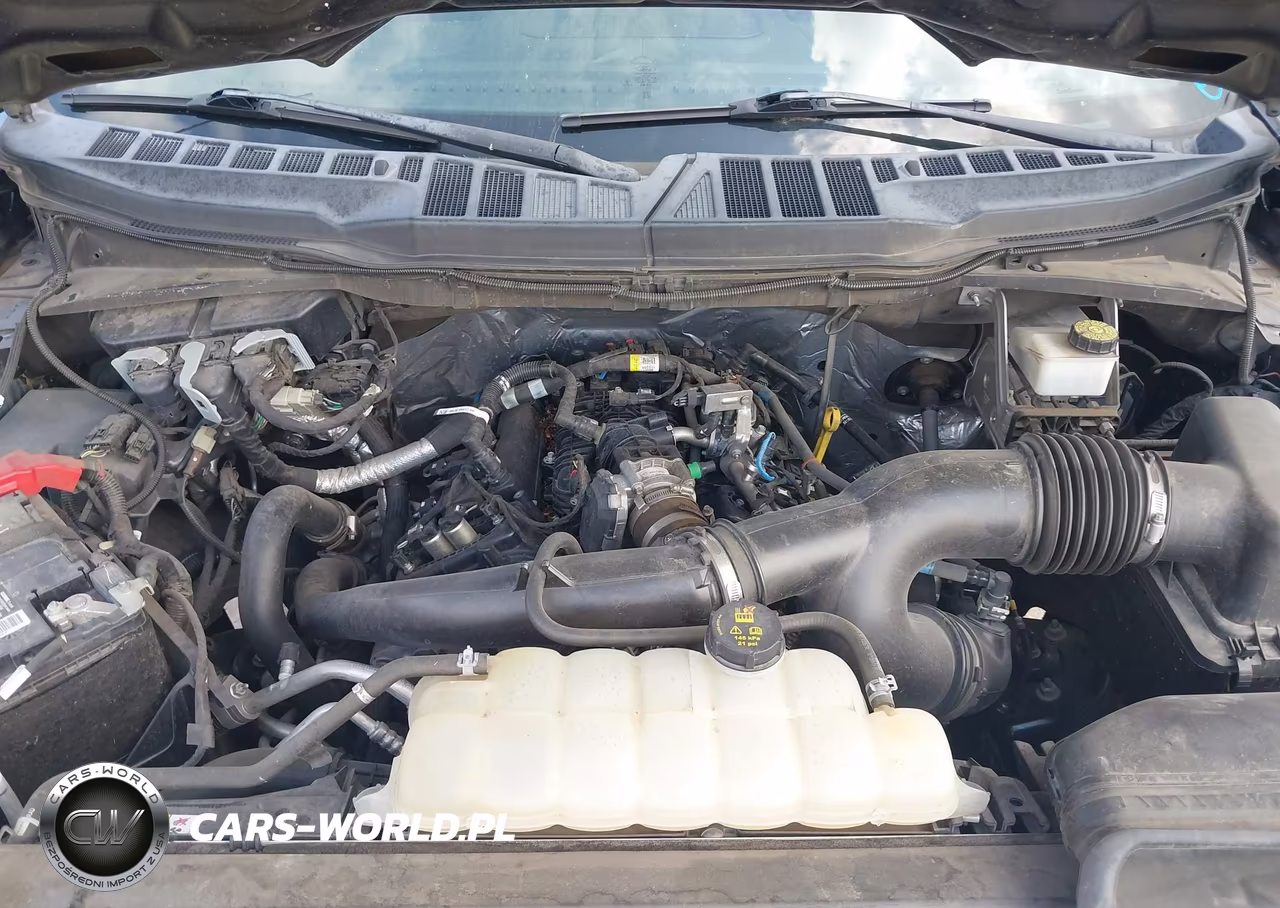 2021 Ford F-150 Xlt VIN:1FTEW1CP0MKF10846 - 10