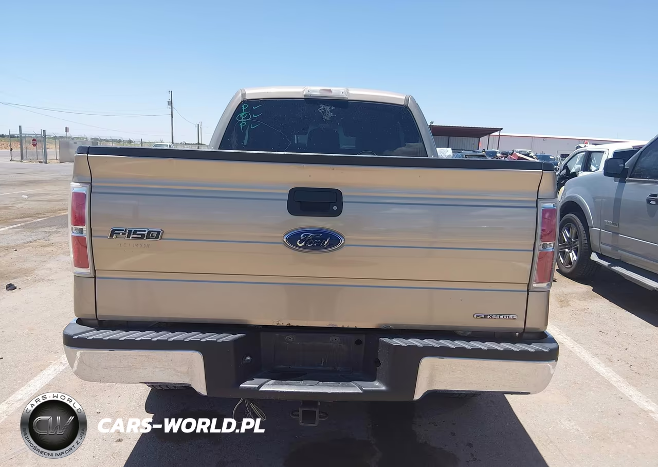 2011 Ford F-150 Xlt VIN:1FTFX1EF7BFA12204 - 16