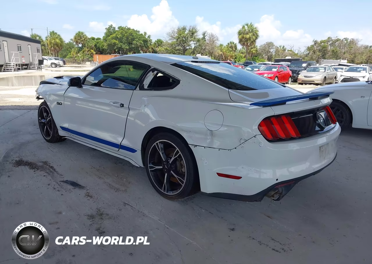 2017 Ford Mustang Gt Premium VIN:1FA6P8CF1H5244345 - 3