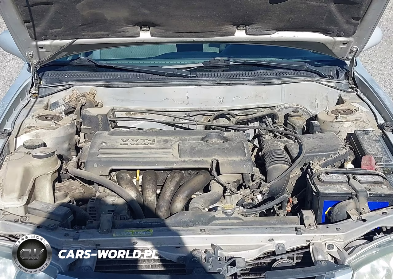 2002 Toyota Corolla Le VIN:1NXBR12E22Z639517 - 10