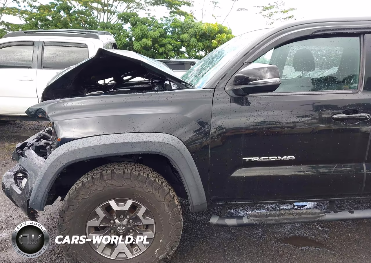 2019 Toyota Tacoma Trd Sport VIN:3TMCZ5AN2KM197599 - 17