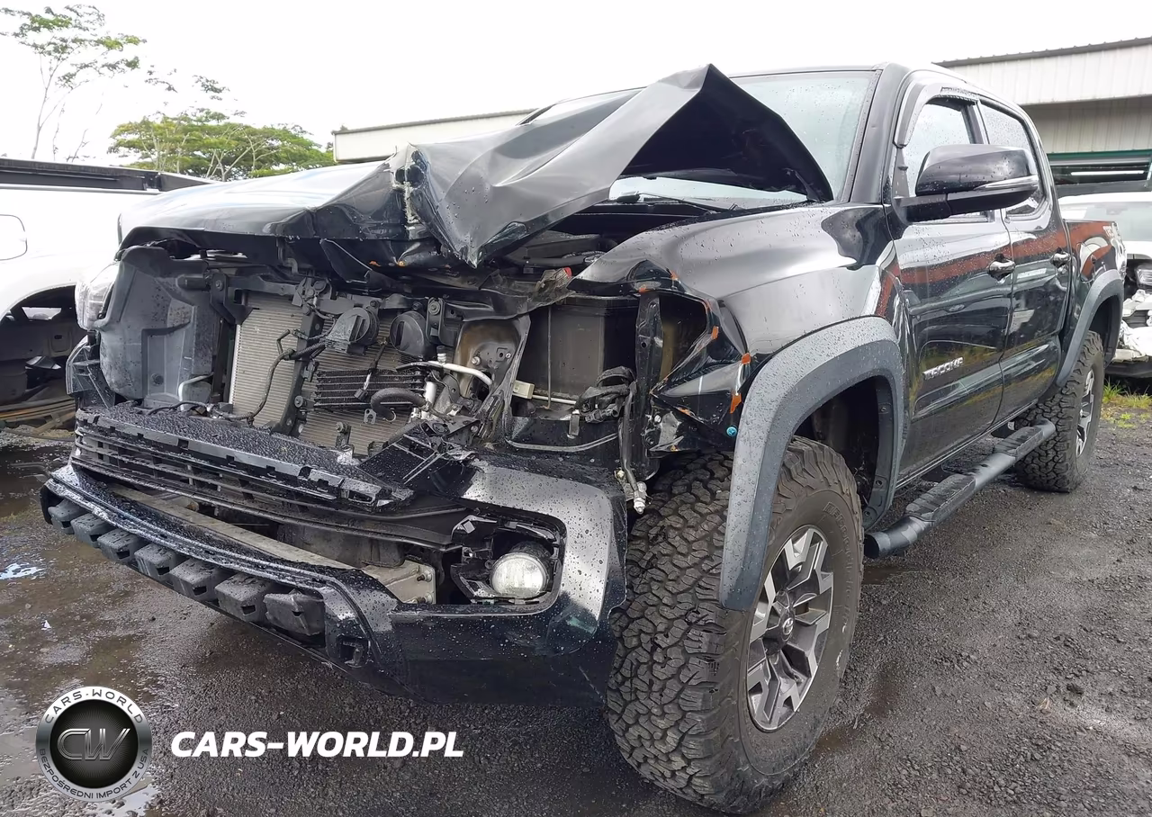 2019 Toyota Tacoma Trd Sport VIN:3TMCZ5AN2KM197599 - 6