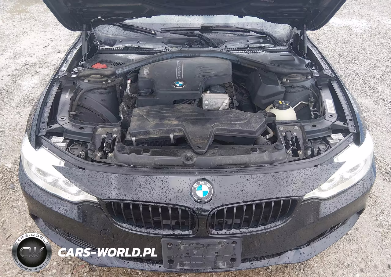 2014 BMW 428I xDrive VIN:WBA3N5C51EK196610 - 10