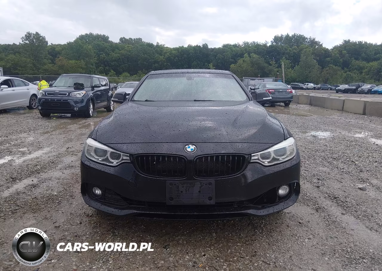 2014 BMW 428I xDrive VIN:WBA3N5C51EK196610 - 12