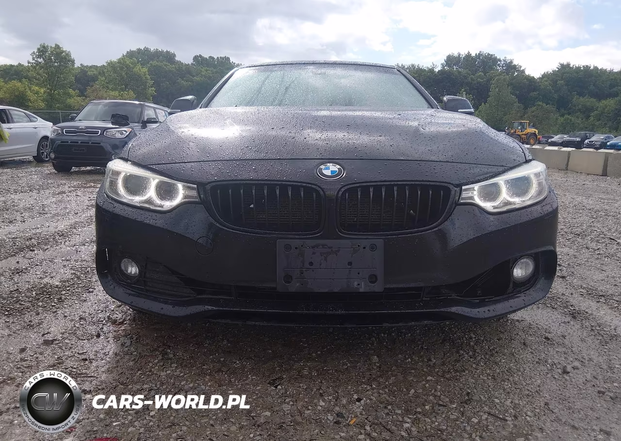 2014 BMW 428I xDrive VIN:WBA3N5C51EK196610 - 6