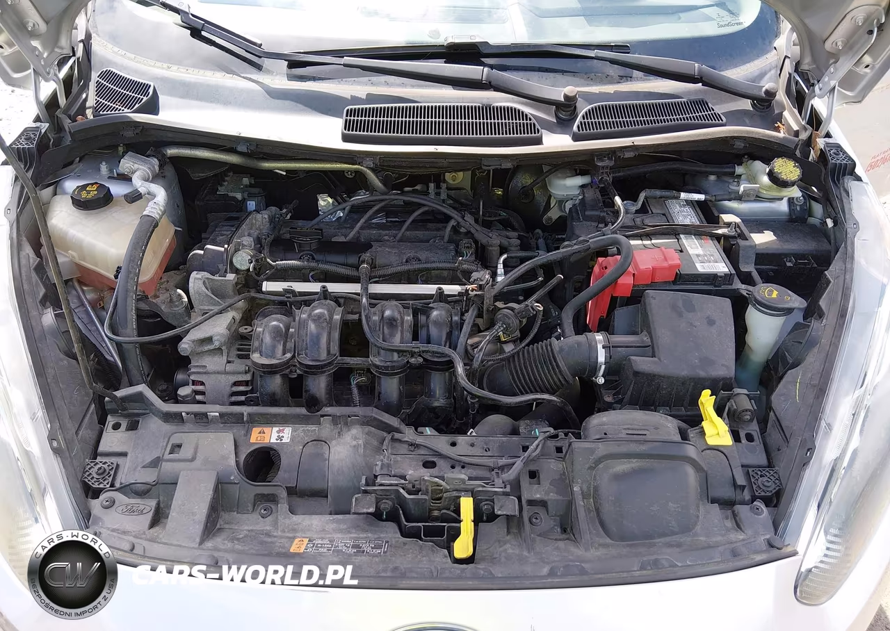 2016 Ford Fiesta Se VIN:3FADP4BJ2GM186051 - 10