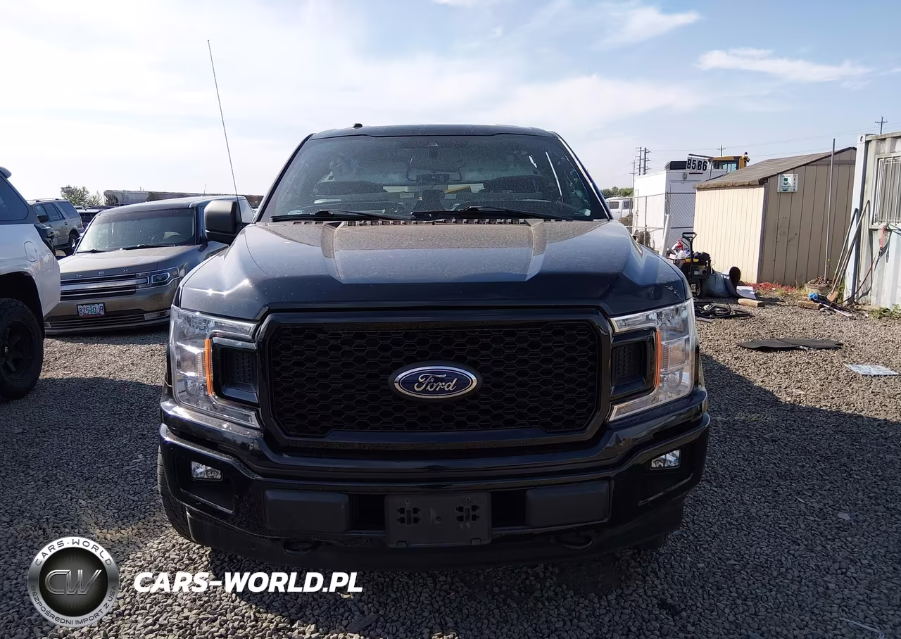 2019 Ford F-150 Xl VIN:1FTEW1EP0KKD13864 - 13
