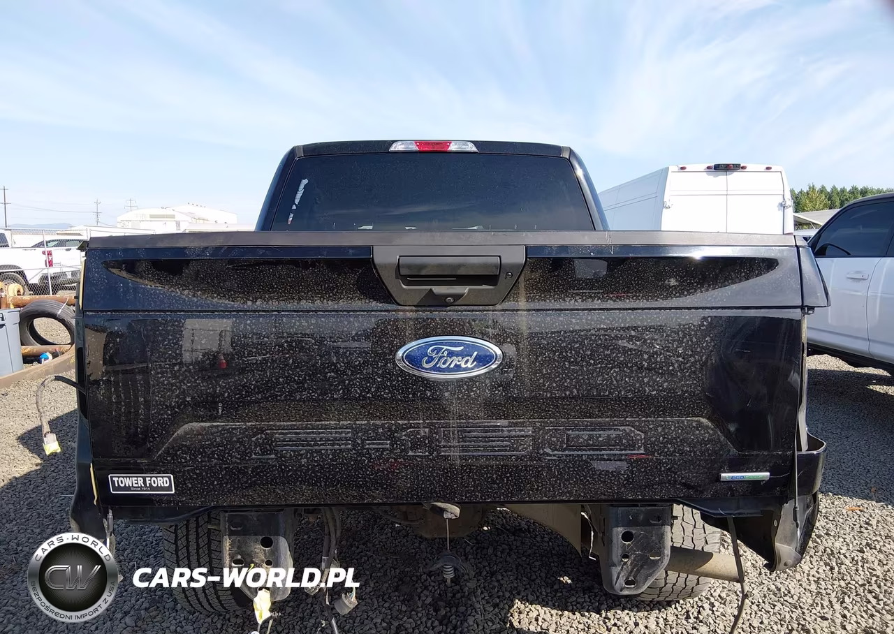 2019 Ford F-150 Xl VIN:1FTEW1EP0KKD13864 - 17