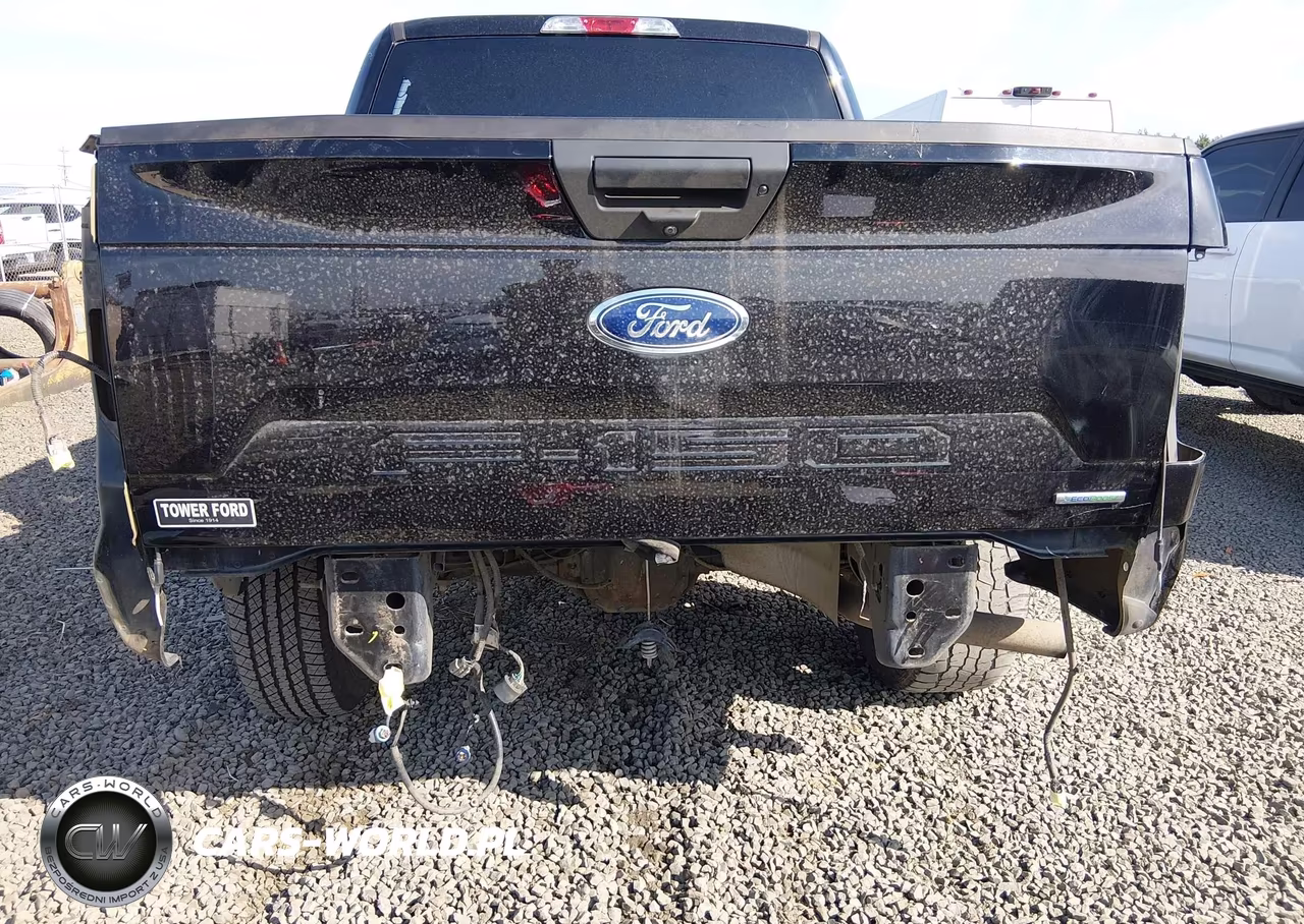 2019 Ford F-150 Xl VIN:1FTEW1EP0KKD13864 - 6