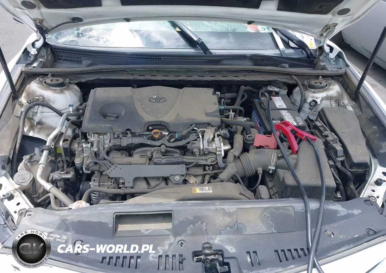 2019 Toyota Camry Se VIN:4T1B11HK2KU251966 - 10