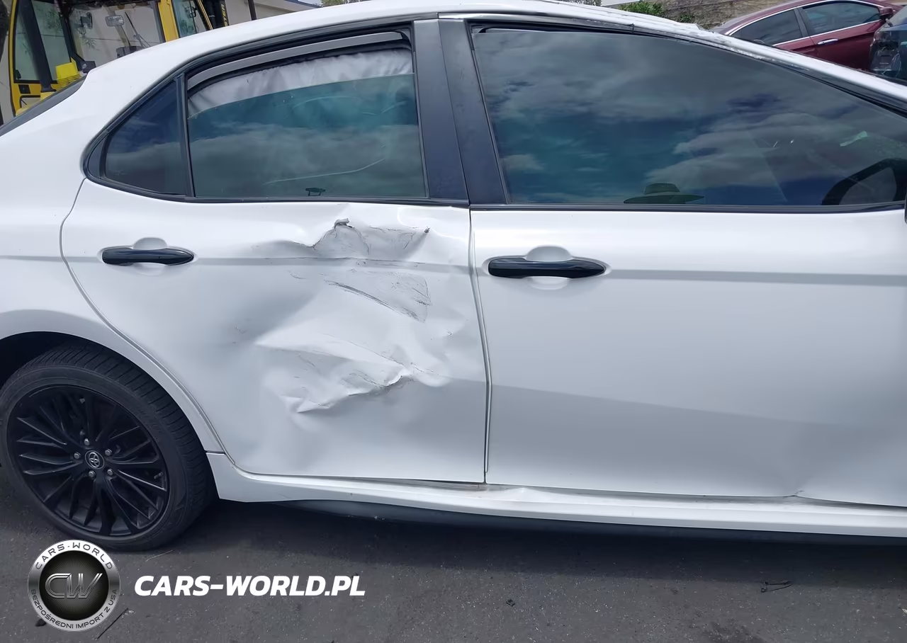 2019 Toyota Camry Se VIN:4T1B11HK2KU251966 - 12