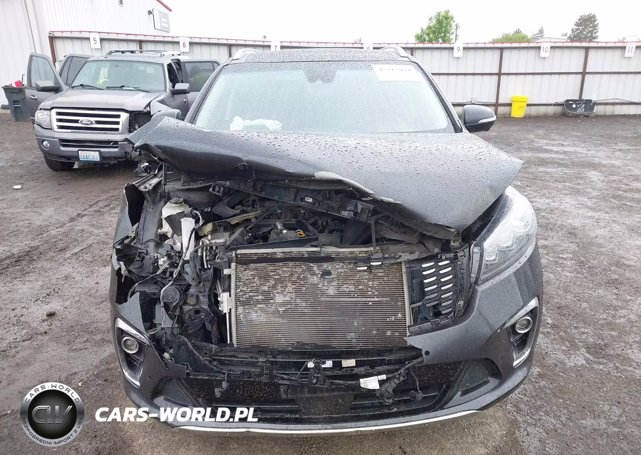 2019 Kia Sorento 3.3L Sx VIN:5XYPKDA55KG557820 - 13
