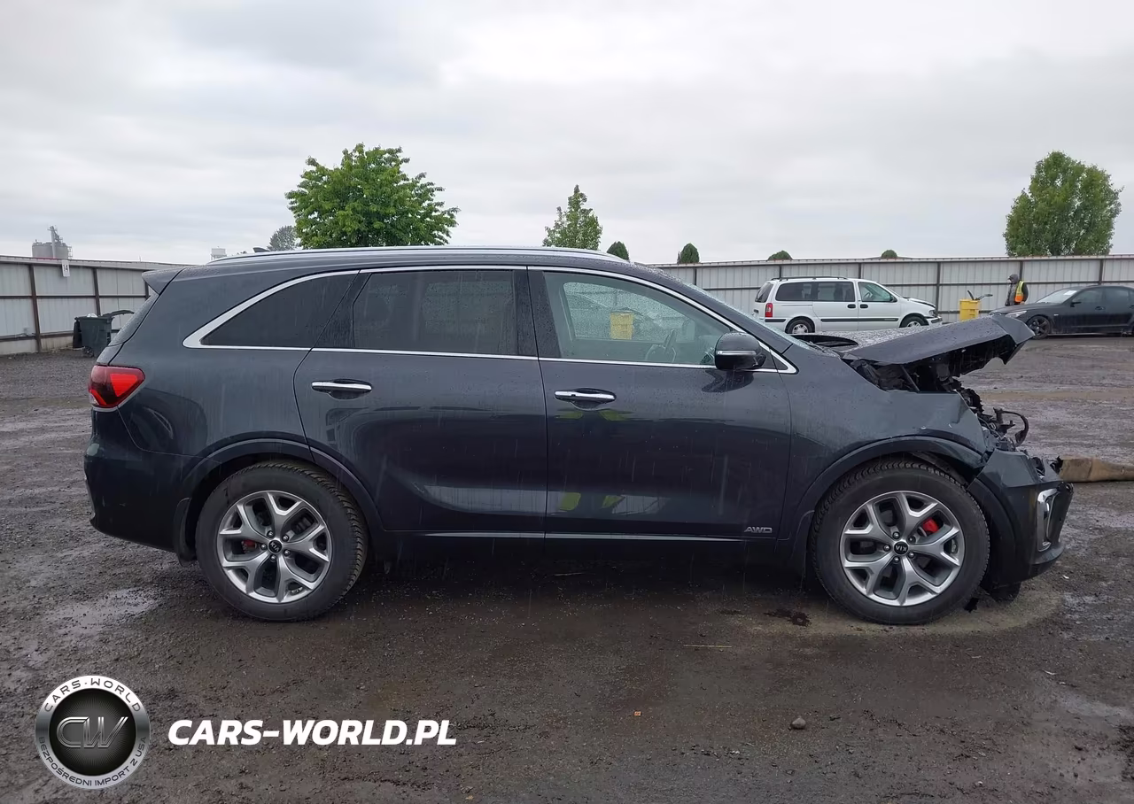 2019 Kia Sorento 3.3L Sx VIN:5XYPKDA55KG557820 - 14